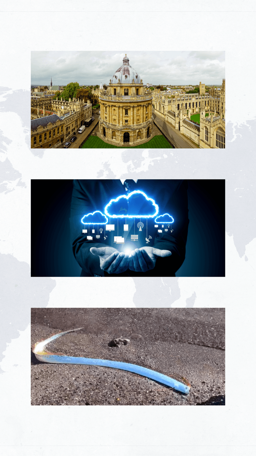 Buzzing in 2025: From Oxford to Deep-Sea Mysteries