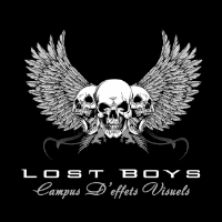 LOST BOYS SCHOOL OF VISUAL EFFECTS