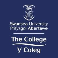 The College, Swansea University